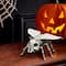 5.25" Fly Skeleton by Ashland®